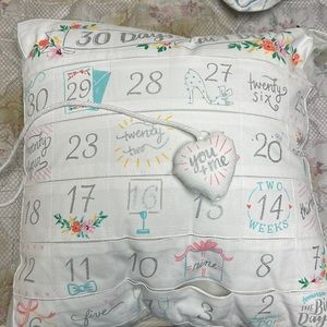 30 days till I do - pillow NWT